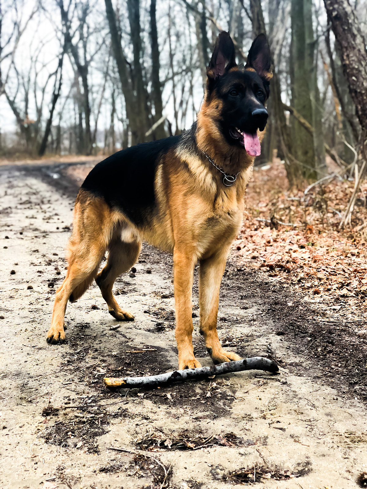 Apple iPhone X sample photo. ? photography