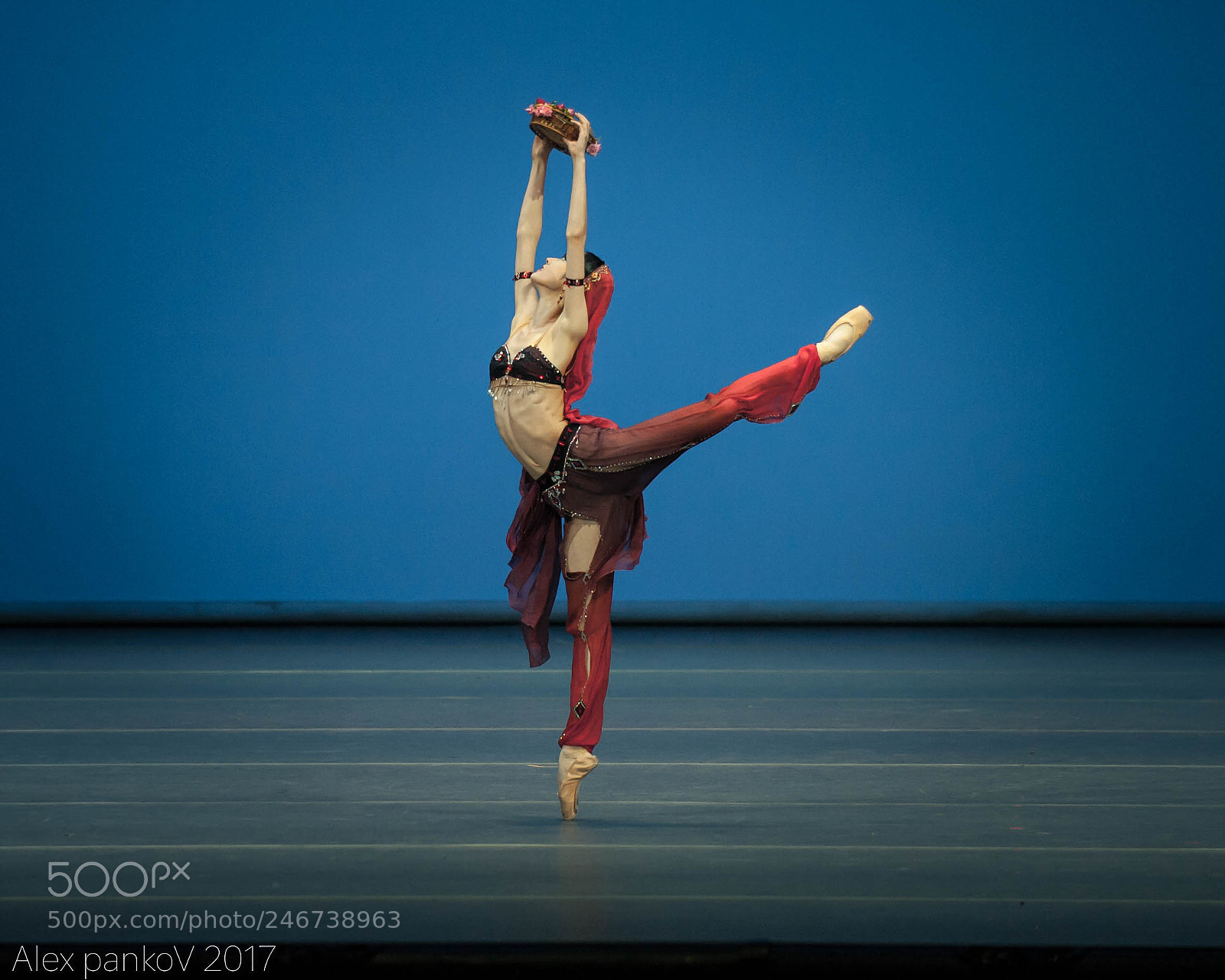 Nikon D3 sample photo. La bayadere photography