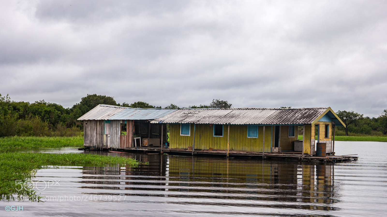 Samsung NX1 sample photo. Home on the amazon photography
