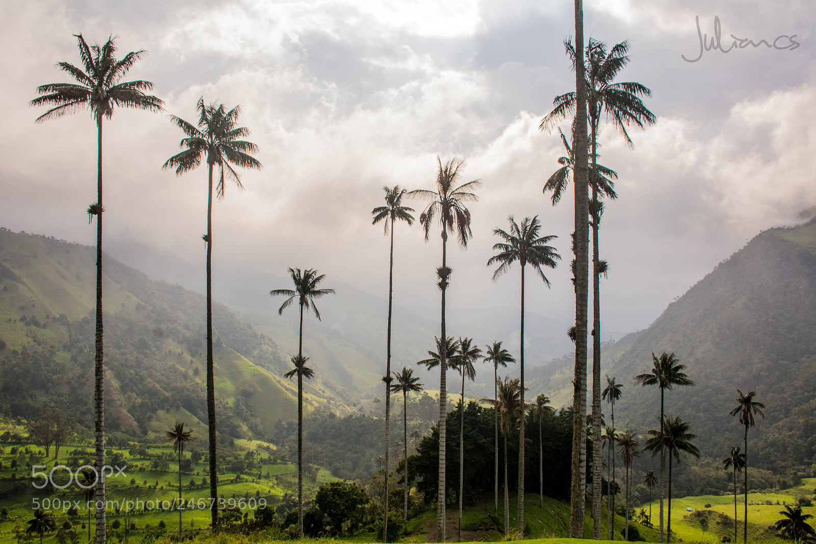 Nikon D7100 sample photo. Valle de las palmas photography