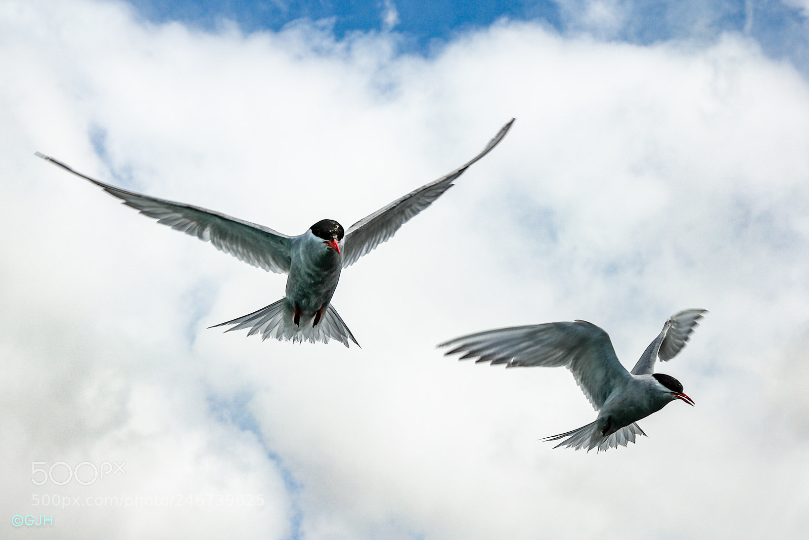 Samsung NX1 sample photo. In flight photography