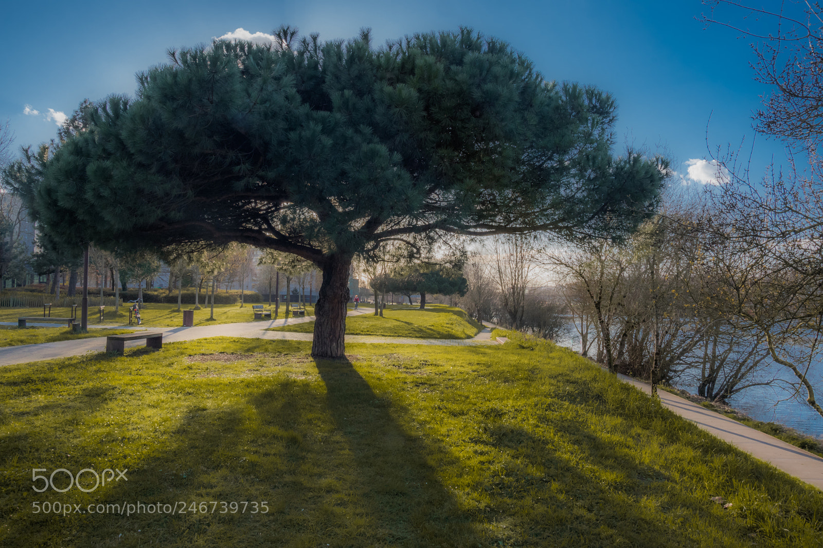Nikon D7500 sample photo. Coucher de soleil sur photography