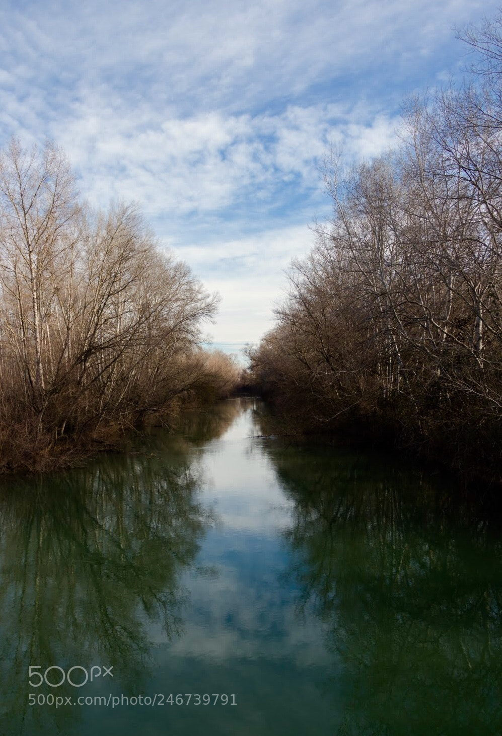 Canon EOS 700D (EOS Rebel T5i / EOS Kiss X7i) sample photo. Parc de la mitjana photography