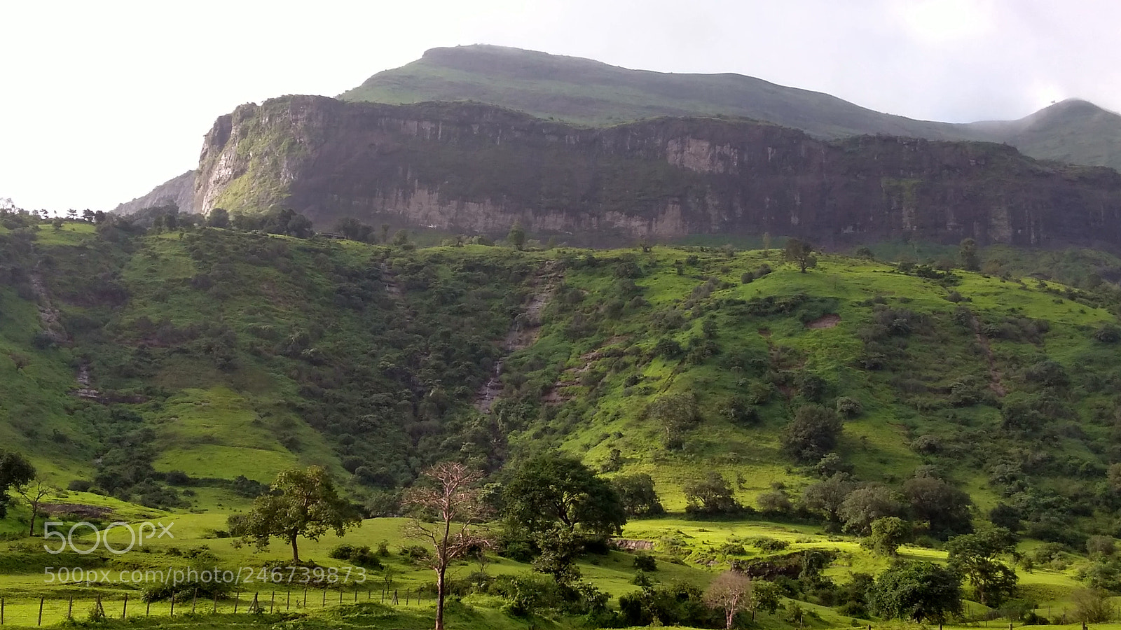 Motorola Moto G Play sample photo. Hdr photography