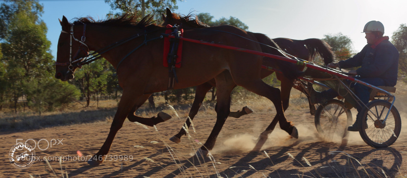 Canon EOS 650D (EOS Rebel T4i / EOS Kiss X6i) sample photo. Strappers orphan and everitt photography