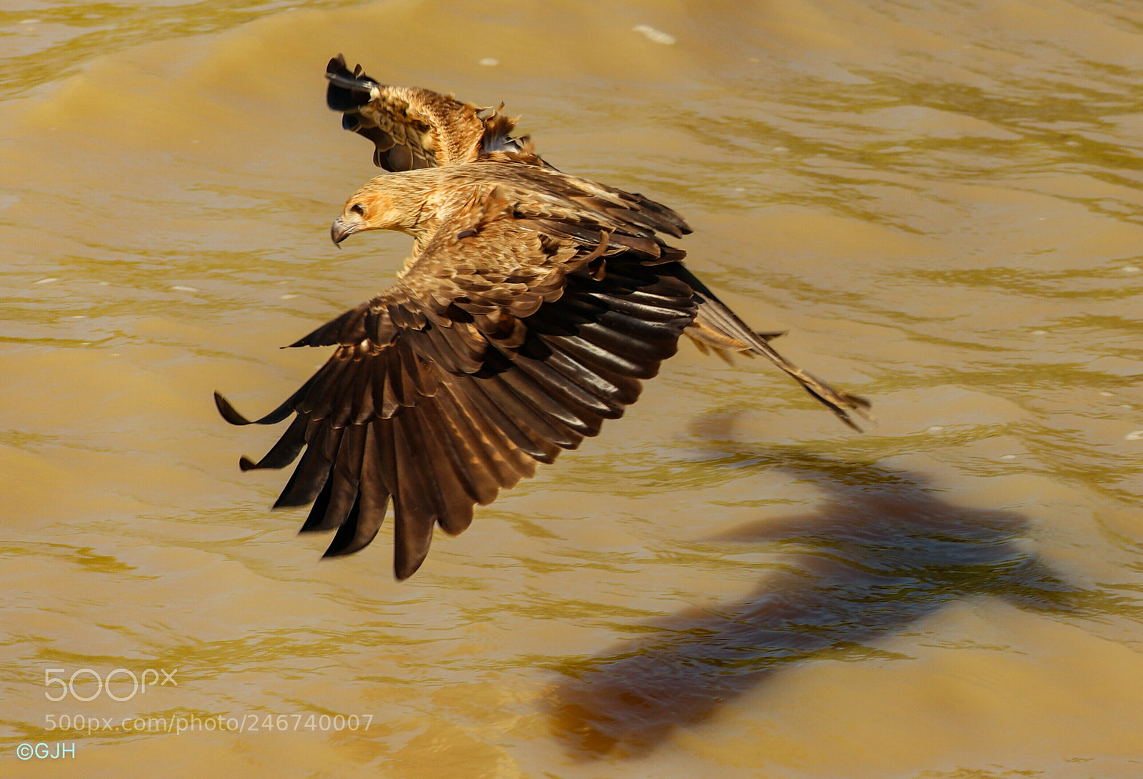 Samsung NX1 sample photo. Almost photography