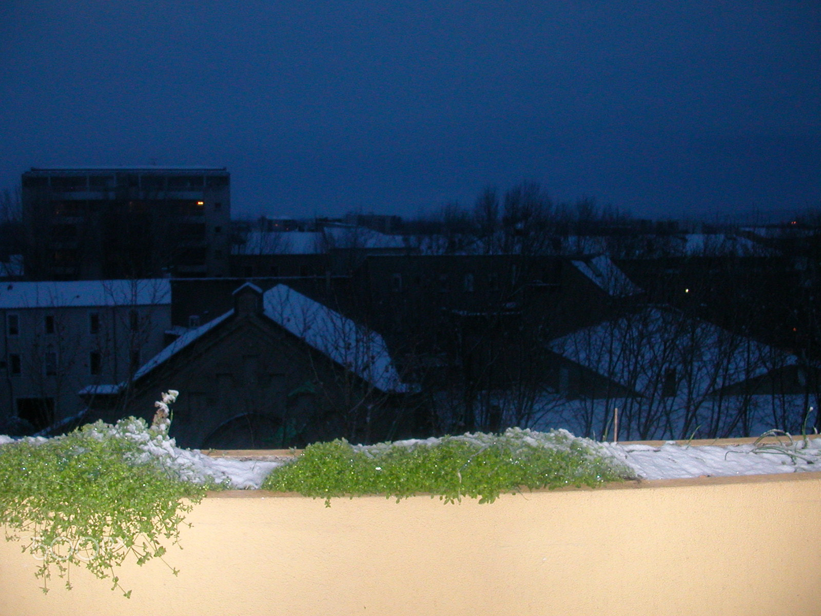 Nikon E2500 sample photo. Neige à narbonne en 2010 photography
