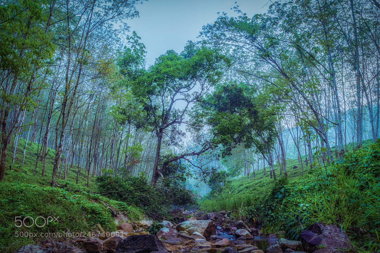 Nikon D7200 sample photo. Link photography