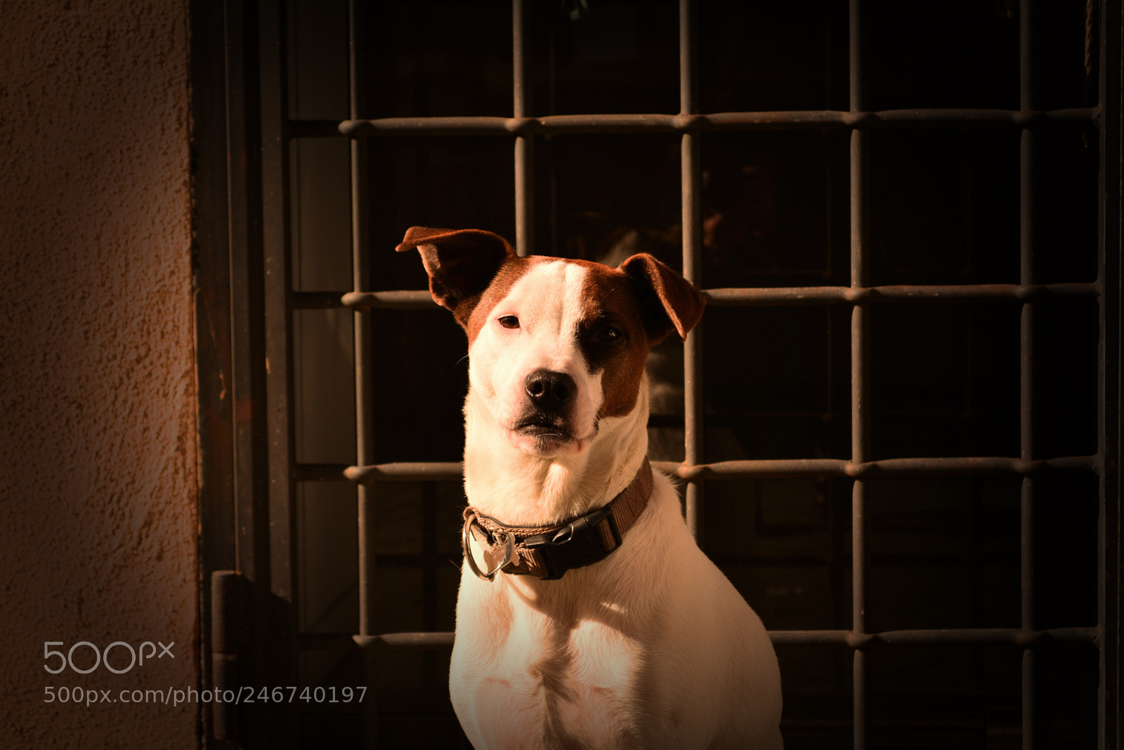 Nikon D5200 sample photo. Rome_04 photography