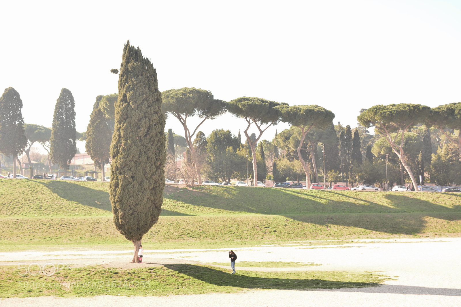 Nikon D5200 sample photo. Rome_06 photography