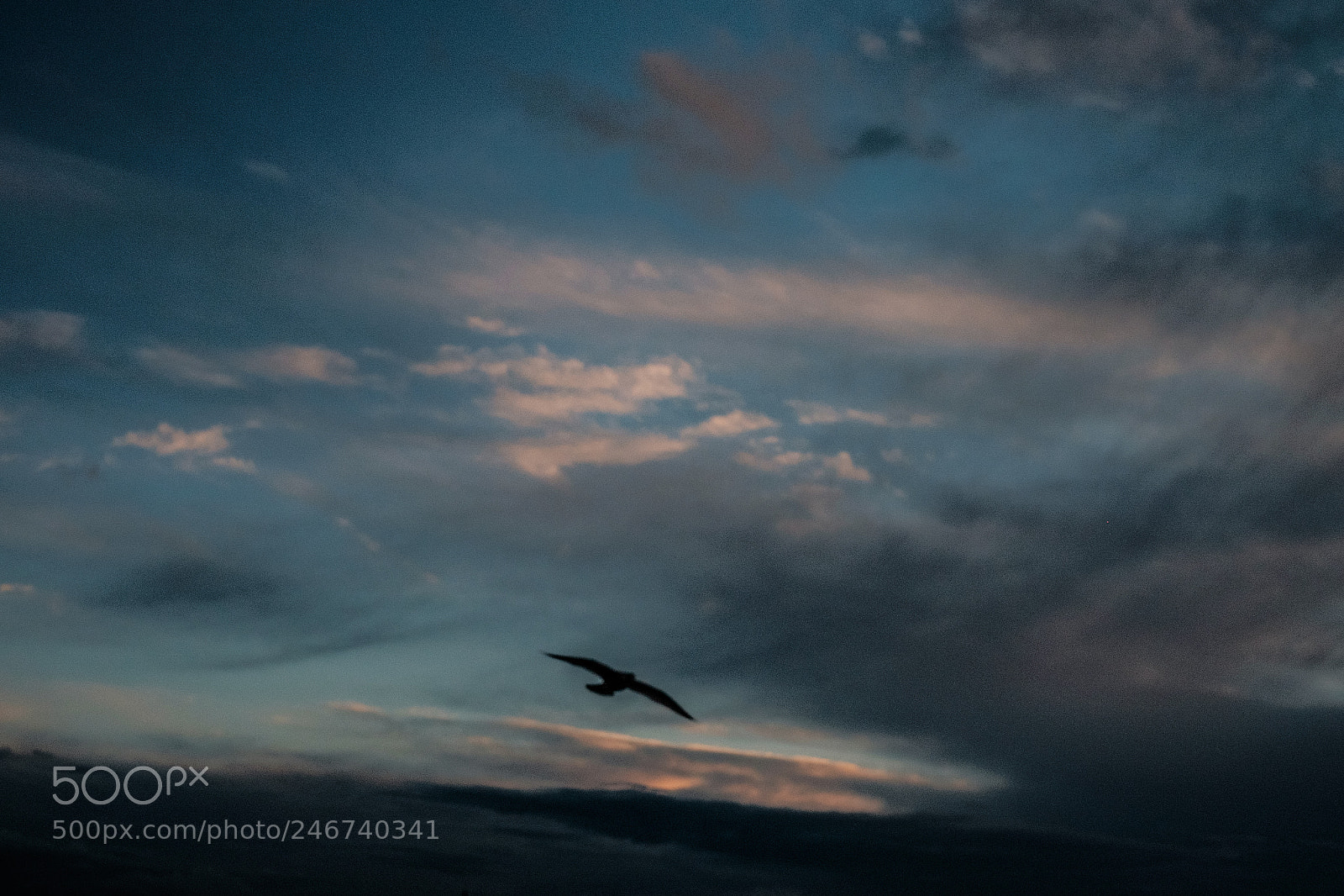 Fujifilm X-E2 sample photo. Evening flight photography