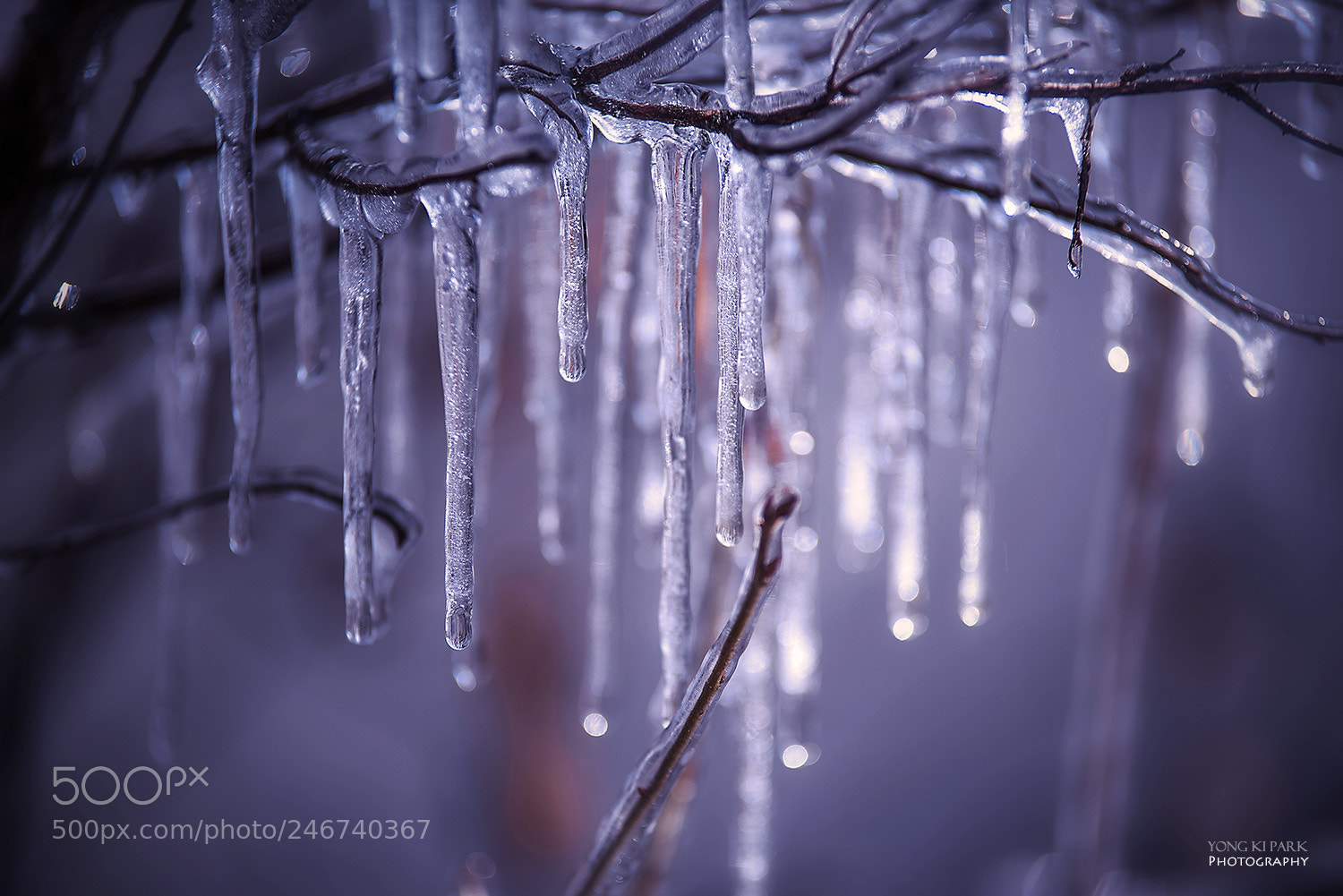 Pentax K-1 sample photo. The tears of february photography