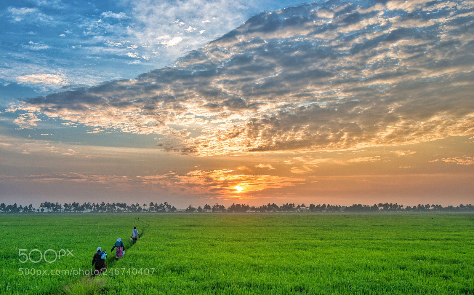 Nikon D800E sample photo. Untitled photography