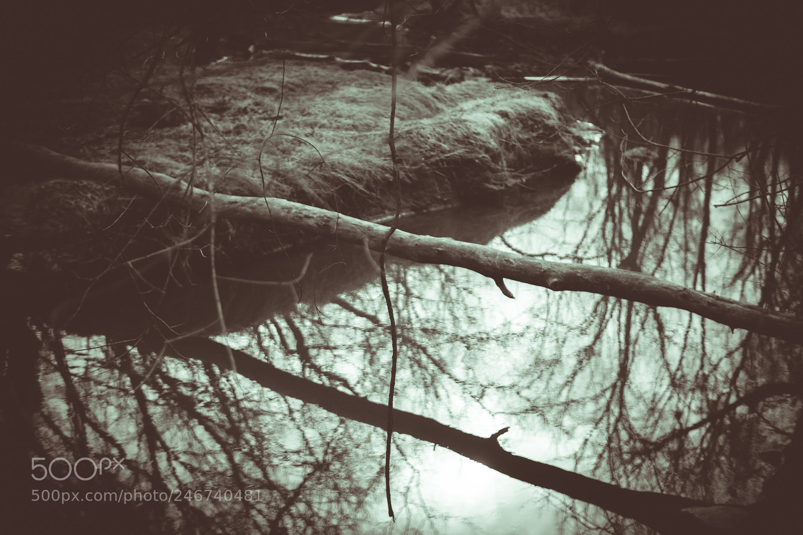 Fujifilm X-Pro2 sample photo. A river bridge photography