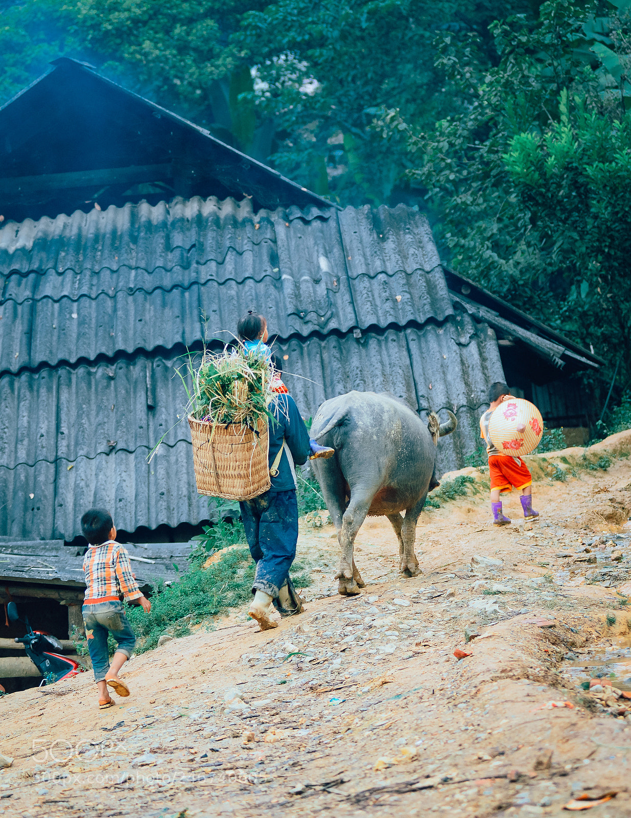 Nikon D610 sample photo. Coming home photography