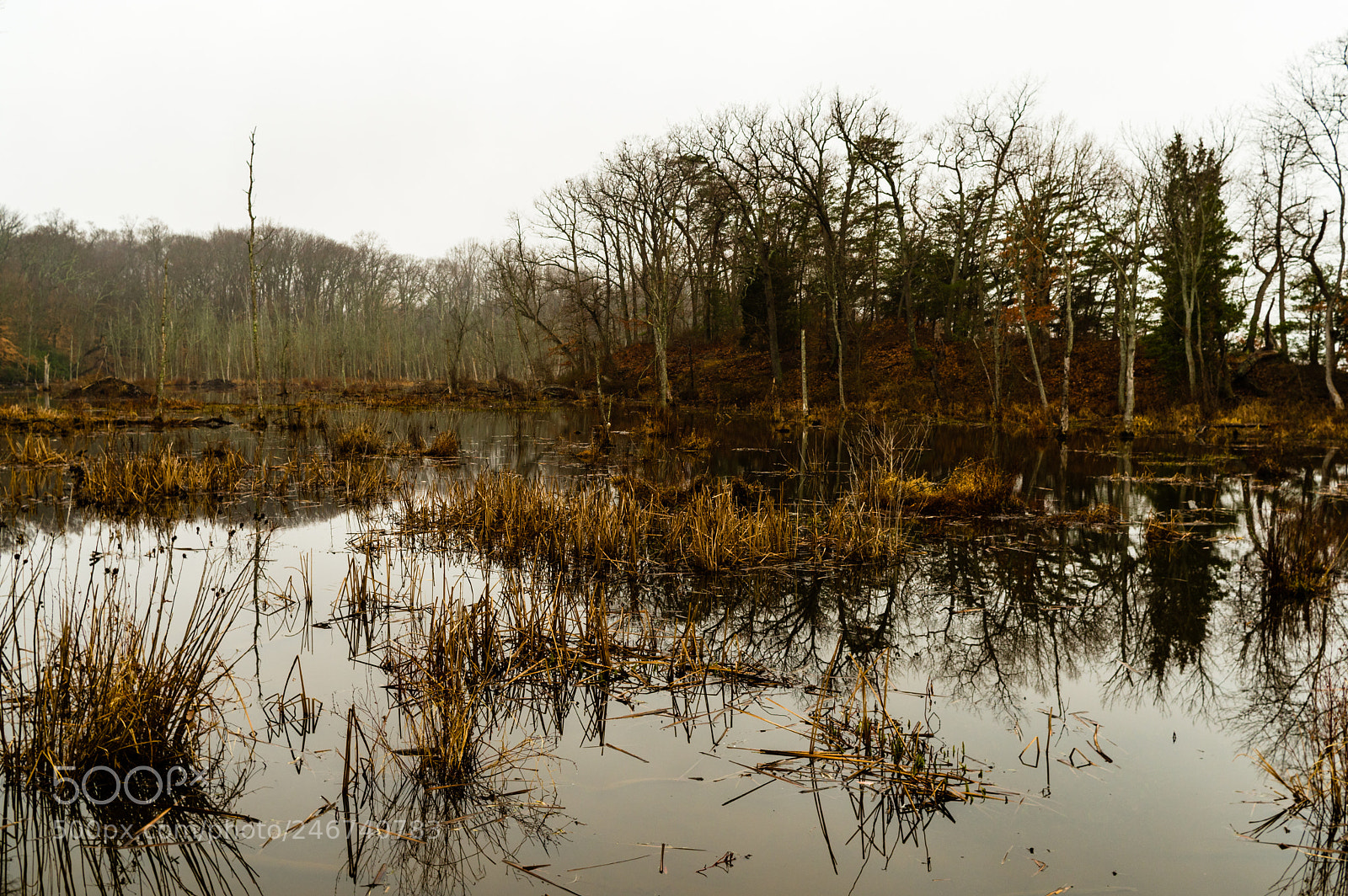 Pentax KP sample photo. Mason neck 1 photography
