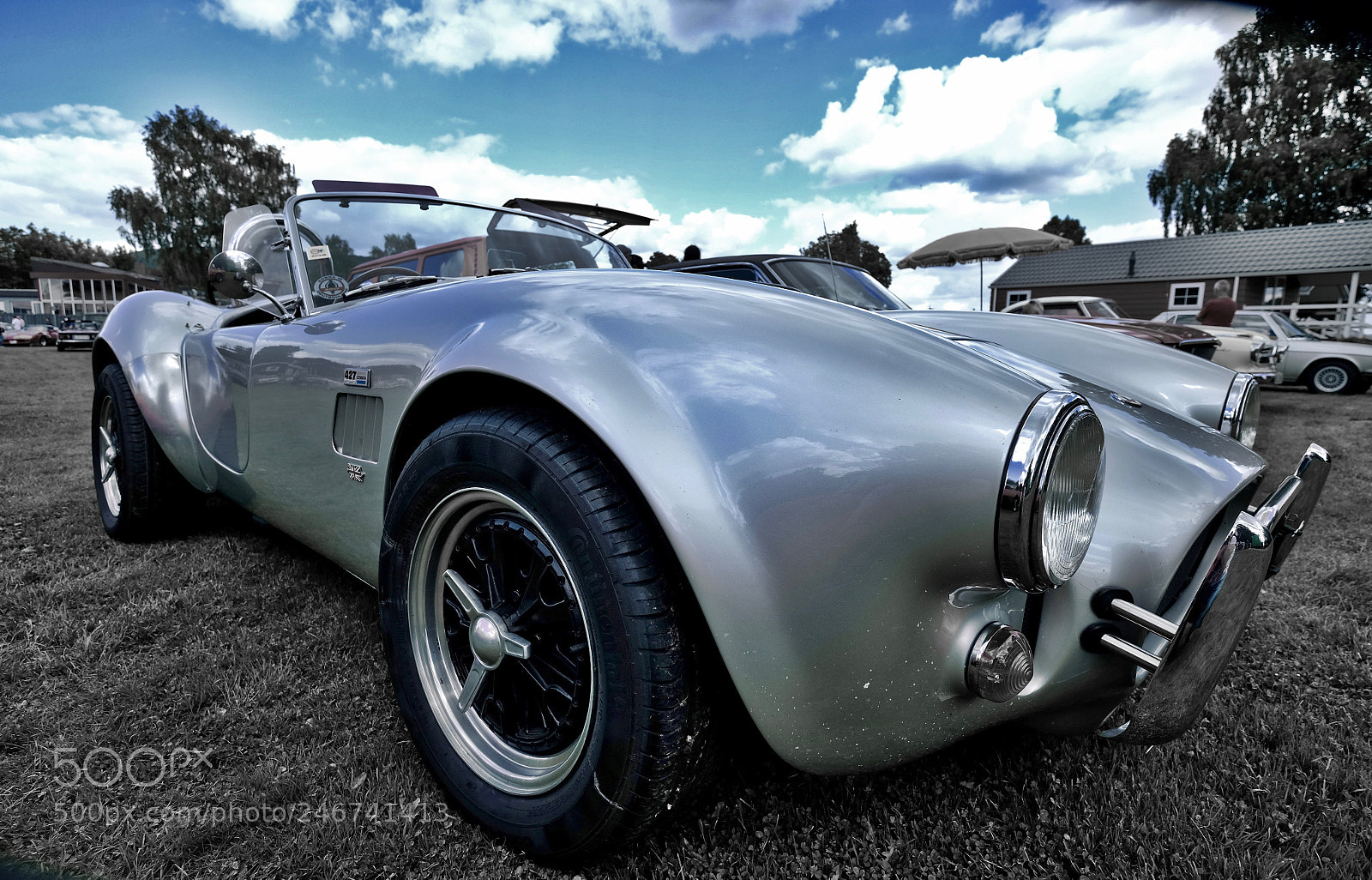 Fujifilm X-E2 sample photo. Cobra photography