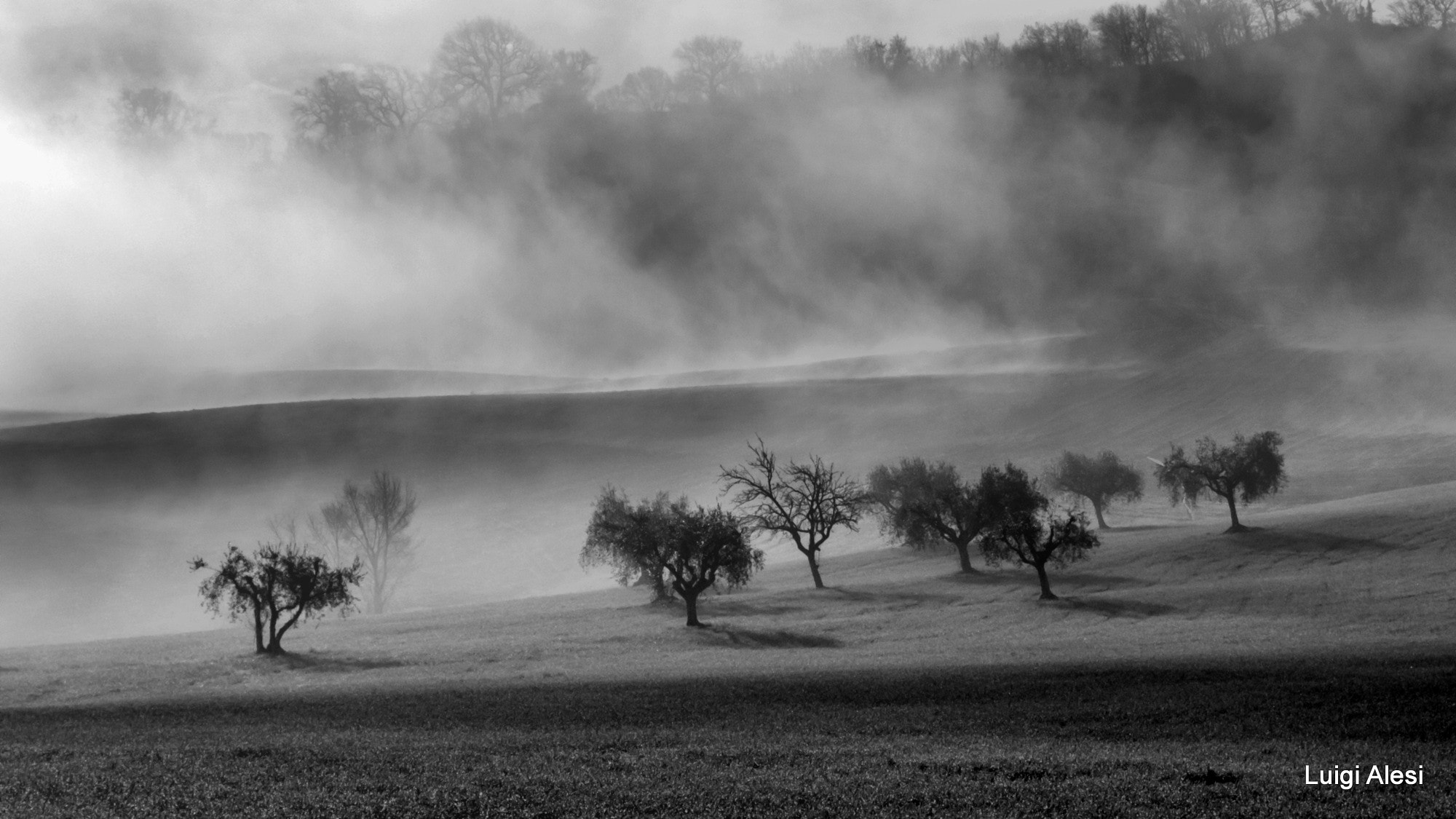 Nikon Coolpix P330 sample photo. Foggy countryside photography