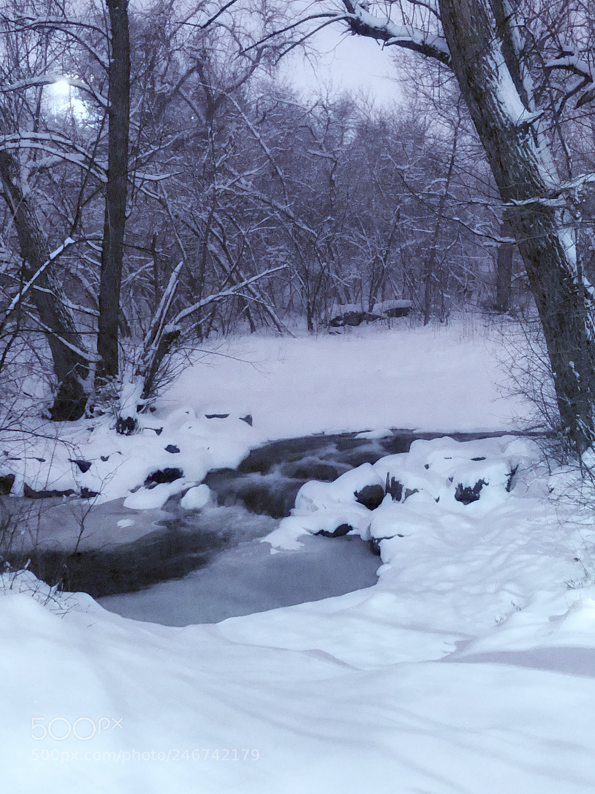 Apple iPhone 8 Plus sample photo. Snow flow photography