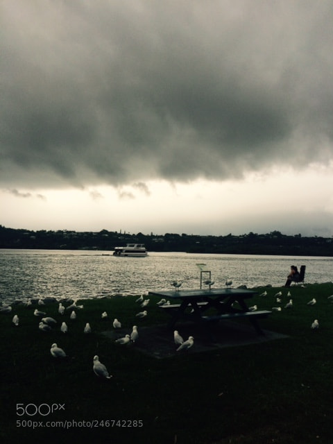 Apple iPhone 5s sample photo. Tweed river, nsw, australia photography