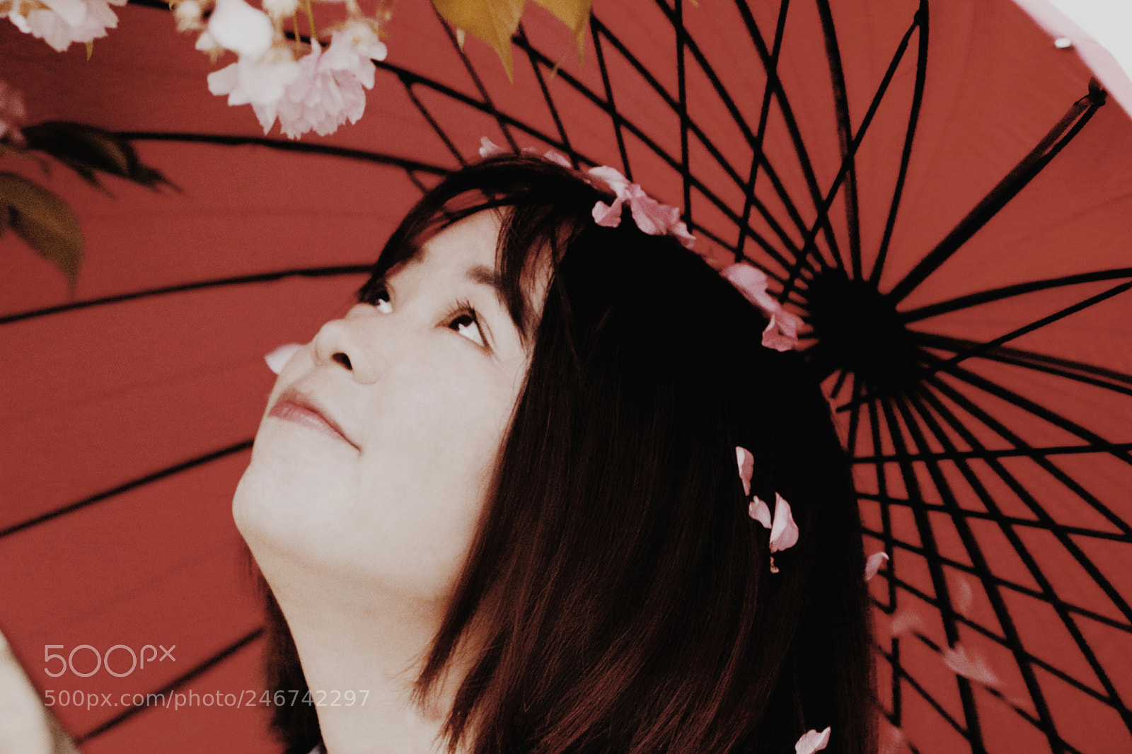 Canon EOS 700D (EOS Rebel T5i / EOS Kiss X7i) sample photo. Untitled photography