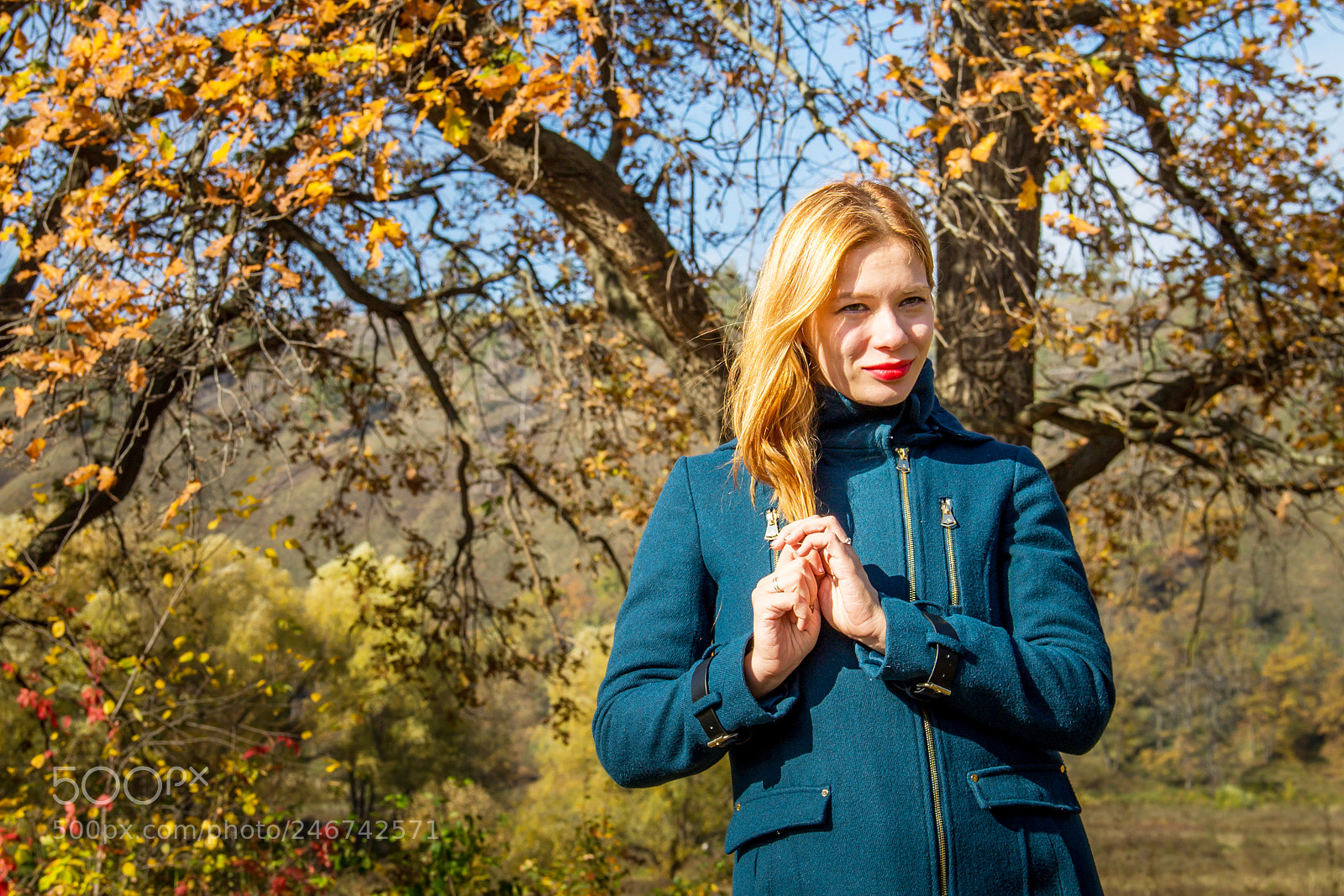 Canon EOS 1100D (EOS Rebel T3 / EOS Kiss X50) sample photo. In the autumn forest photography