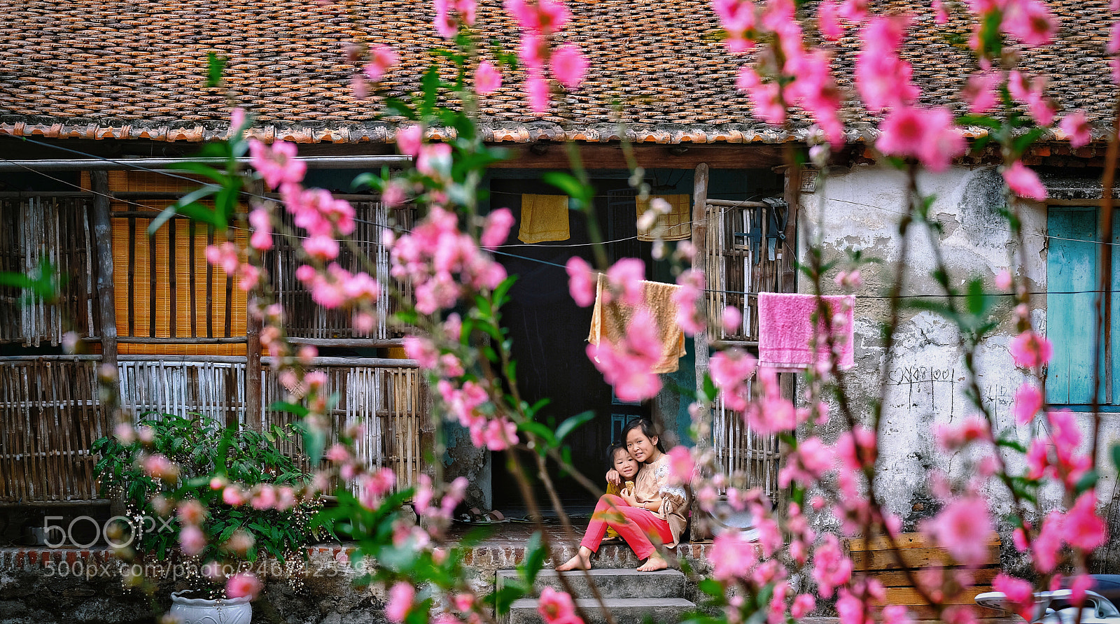 Fujifilm X-T20 sample photo. Untitled photography