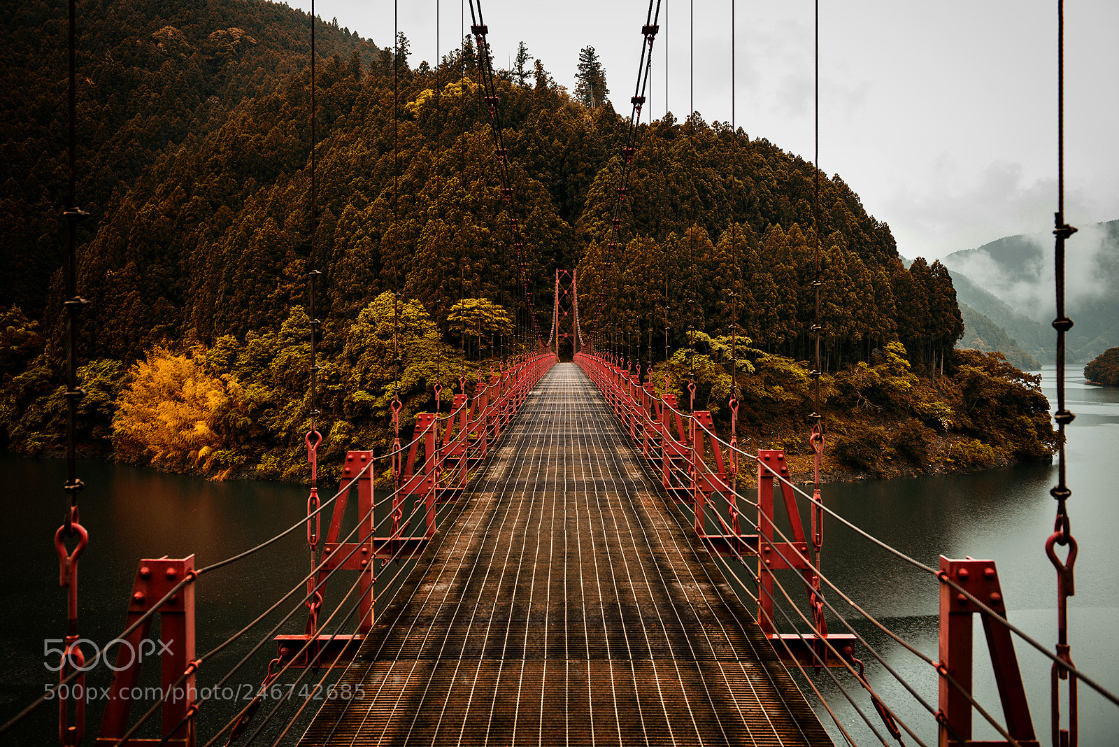 Nikon D800E sample photo. Misty bridge photography
