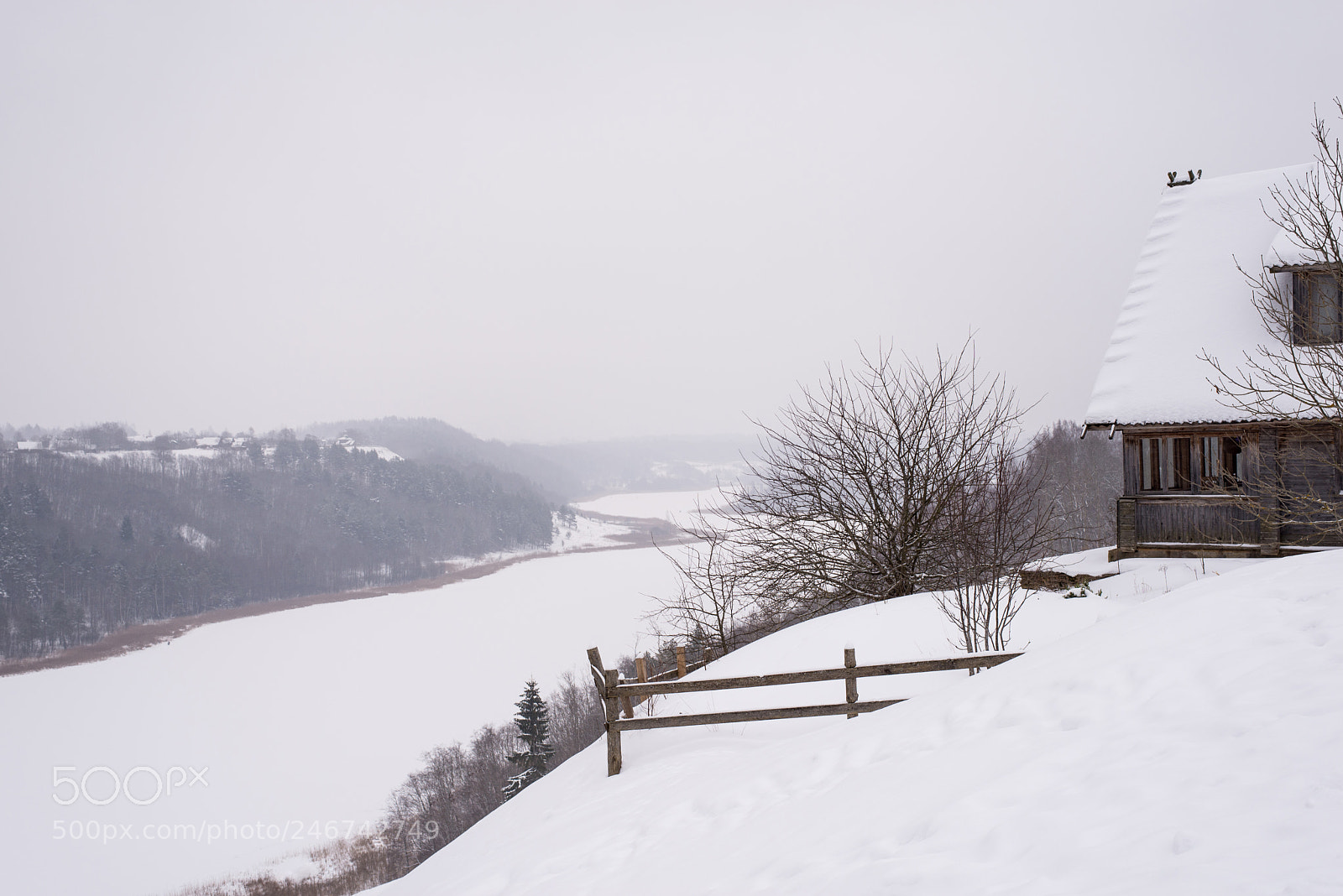 Nikon D610 sample photo. Winter landscape of the photography
