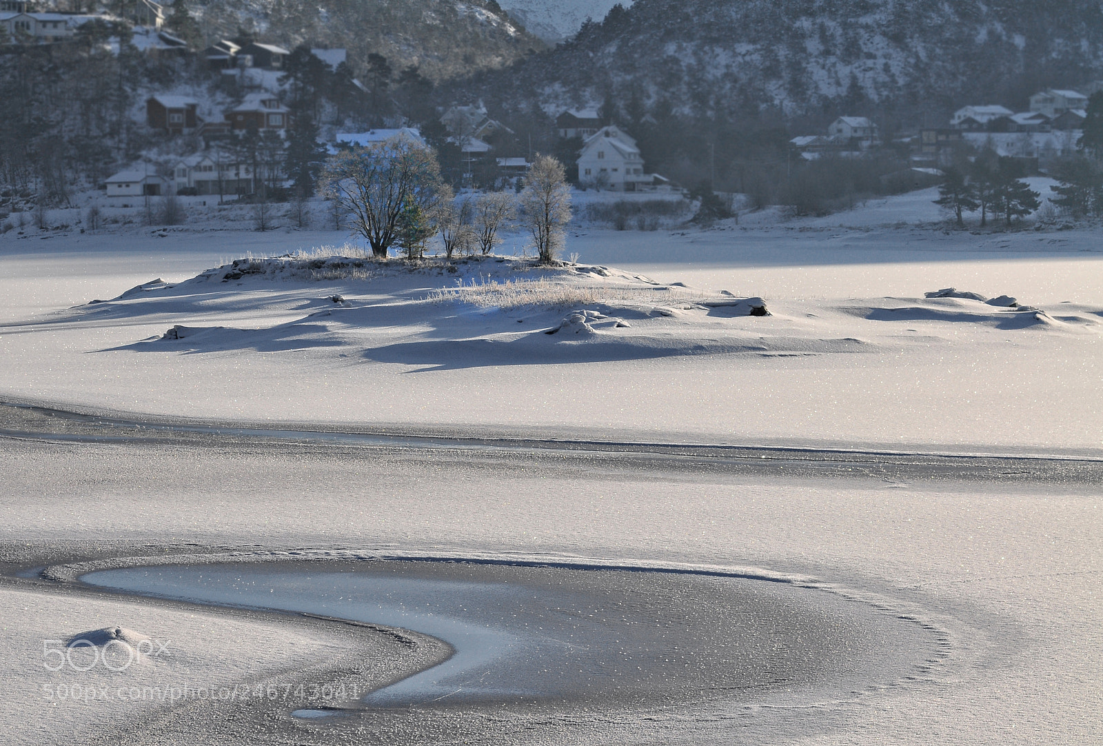 Nikon D300 sample photo. Winter photography