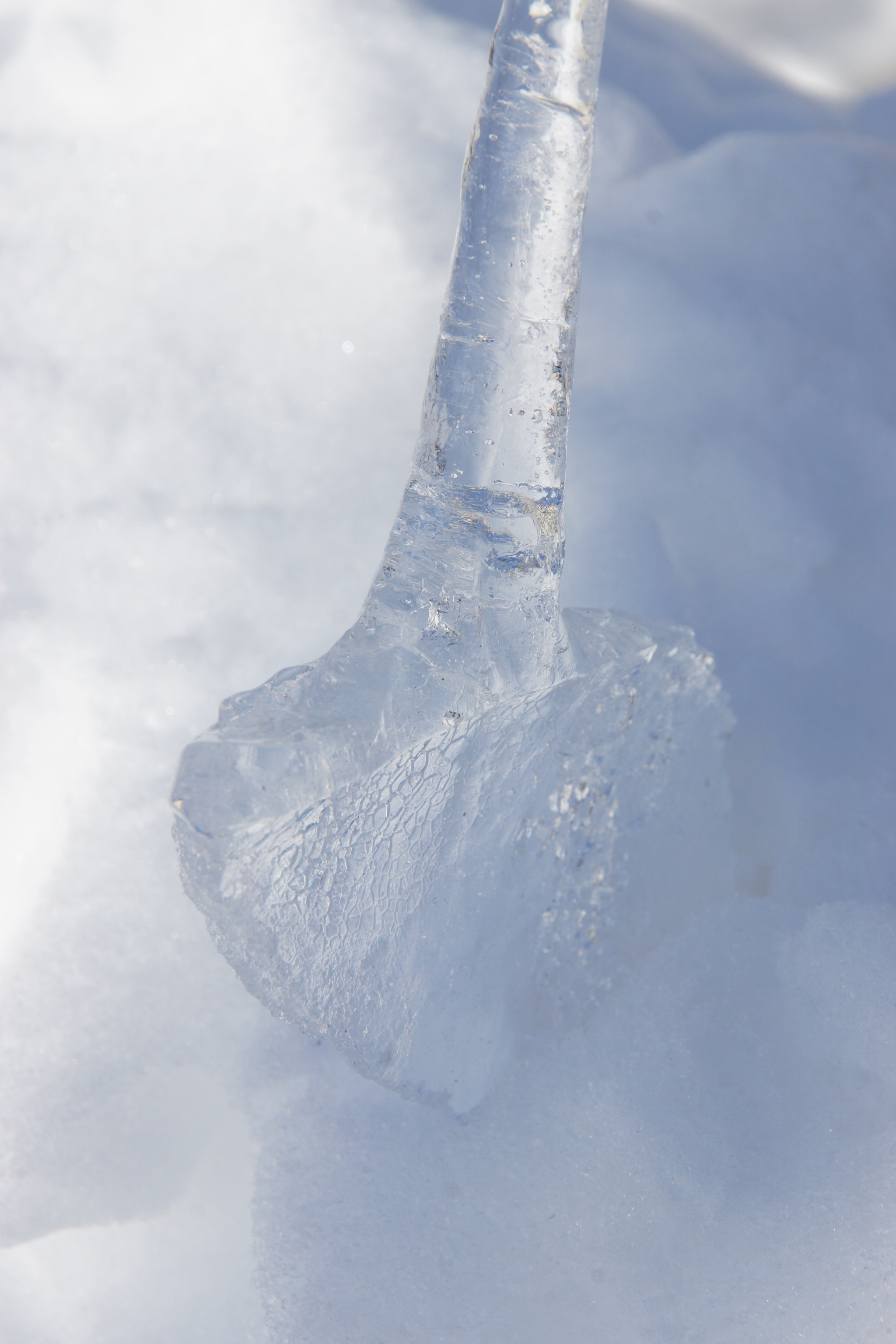 Sony DT 18-200mm F3.5-6.3 sample photo. And some ice ? photography