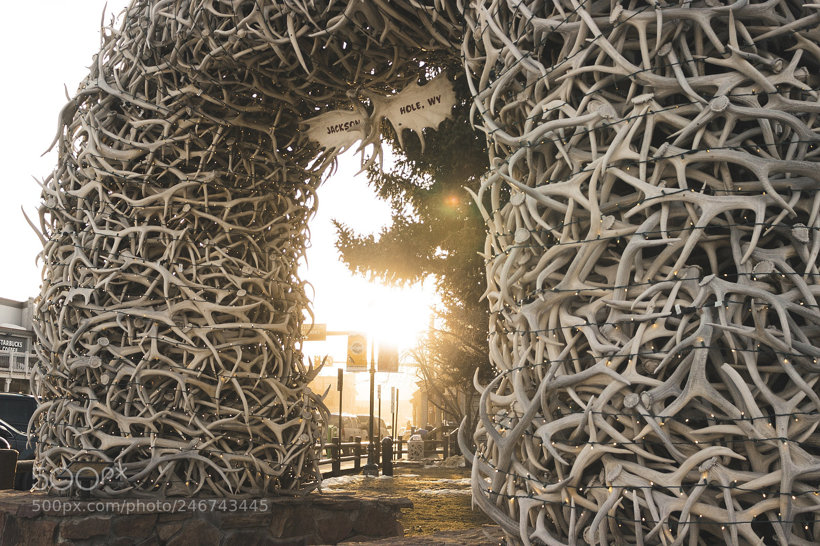 Canon EOS 600D (Rebel EOS T3i / EOS Kiss X5) sample photo. Antler arch photography