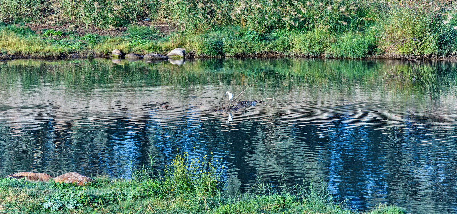 Nikon D7200 sample photo. Untitled photography