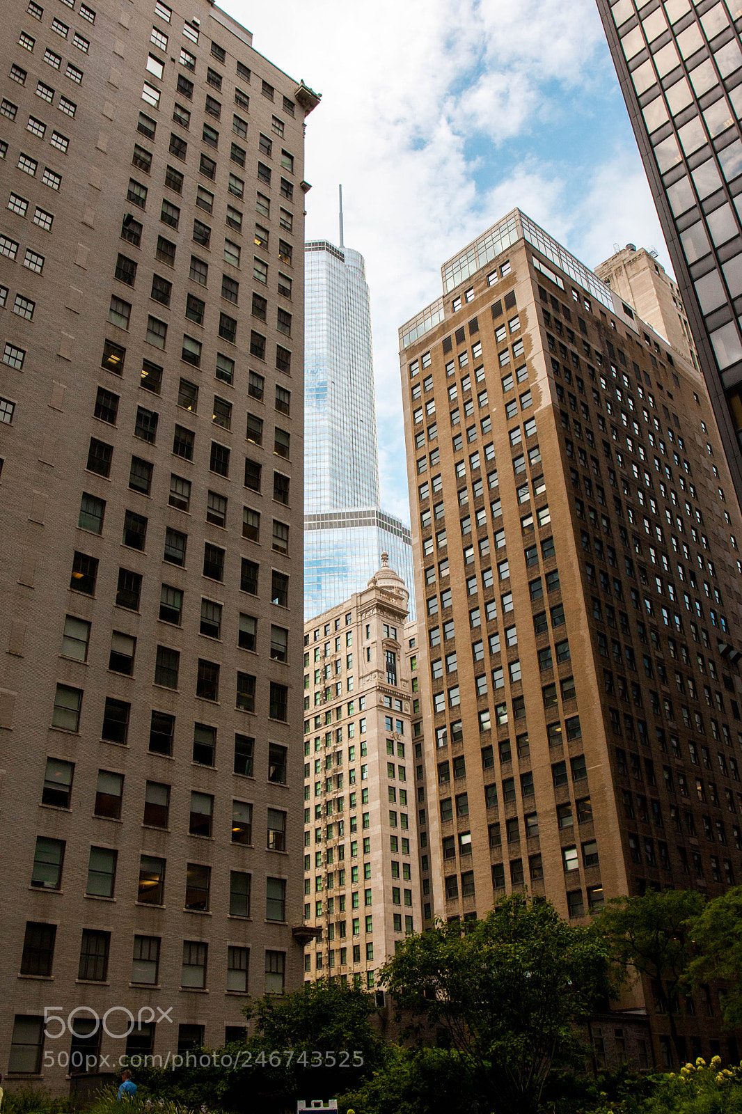 Canon EOS-1D Mark III sample photo. Chicago ? photography