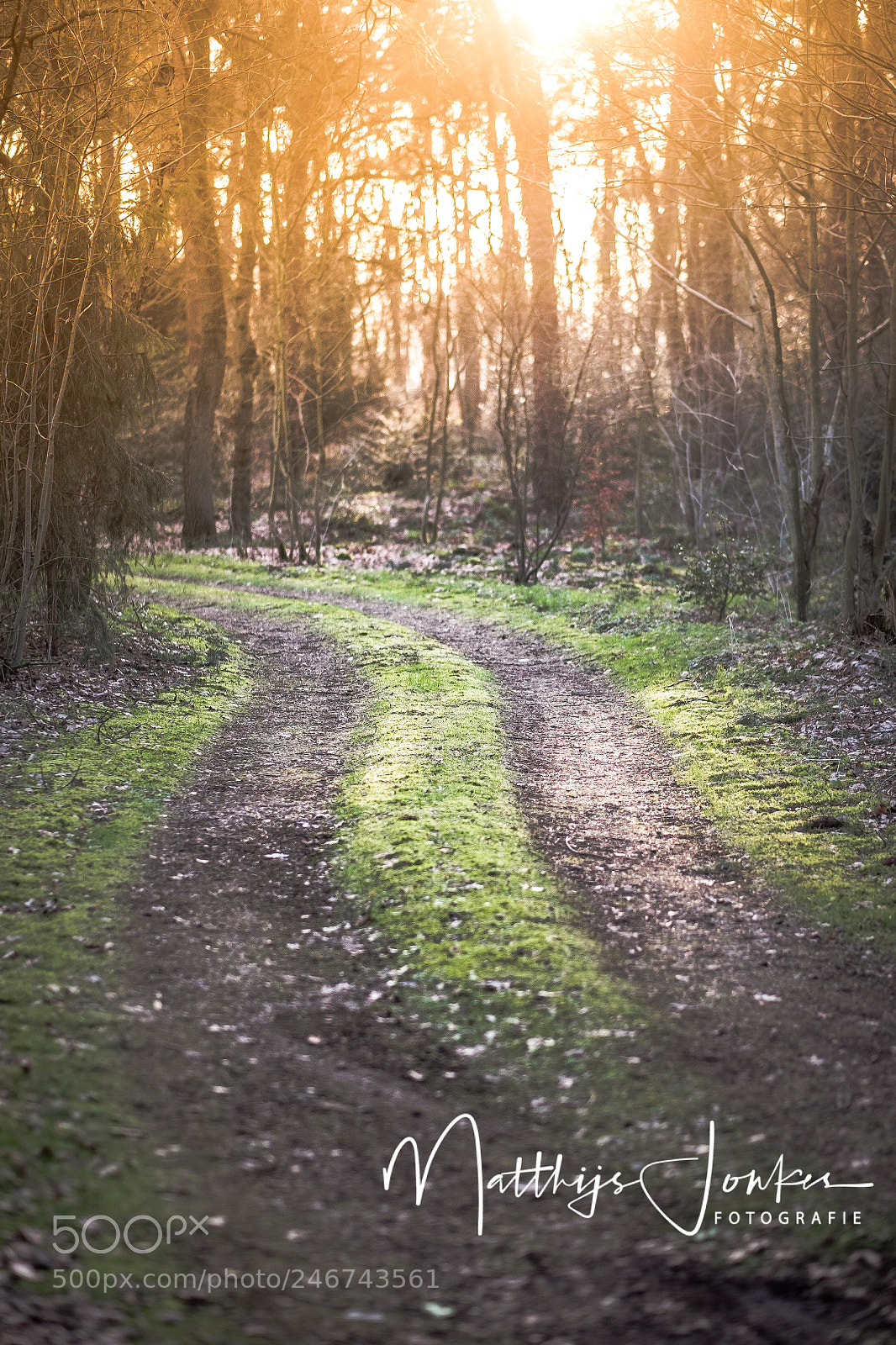 Fujifilm X-T10 sample photo. Warmth photography