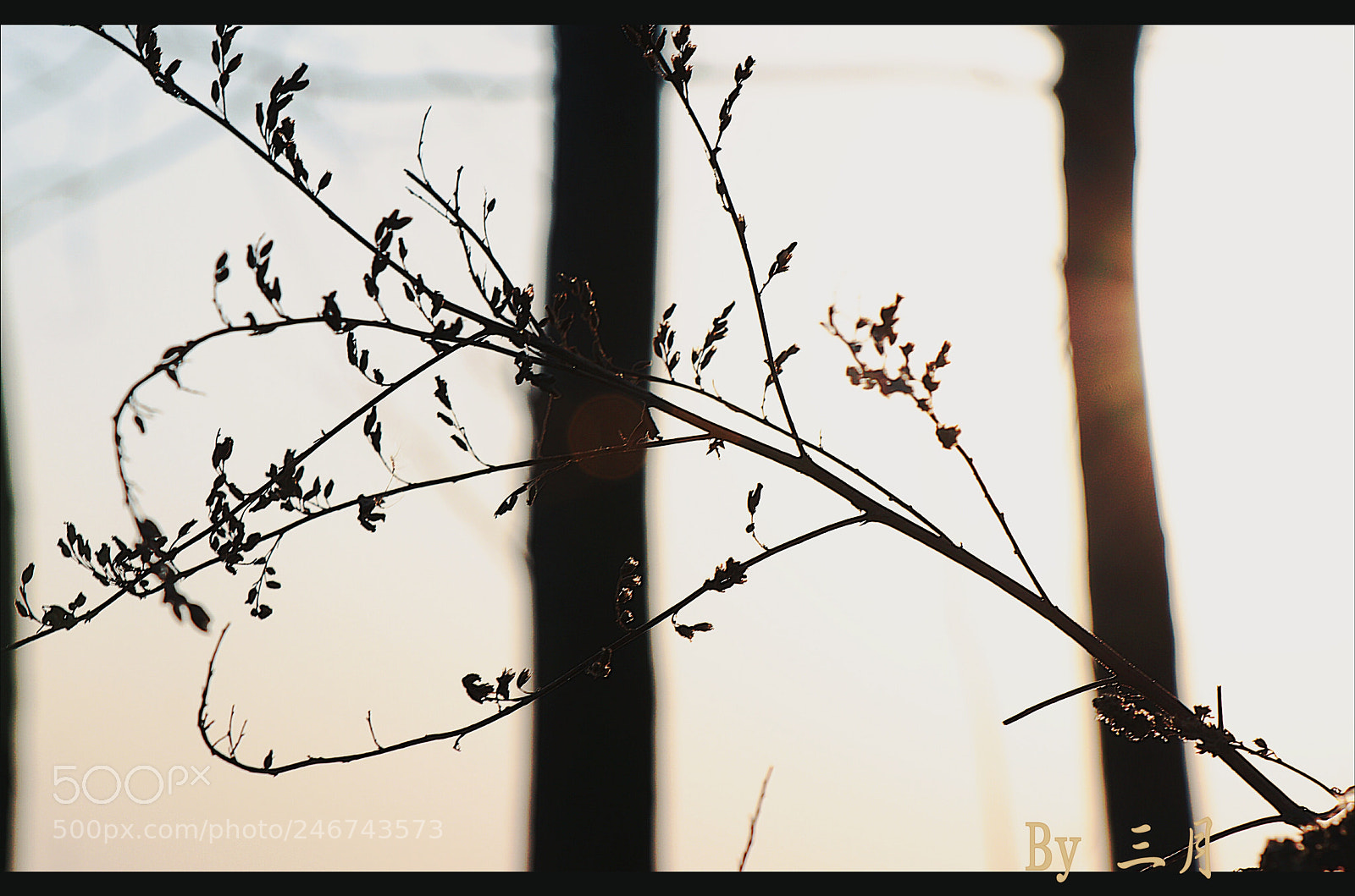 Canon EOS 77D (EOS 9000D / EOS 770D) sample photo. Untitled photography