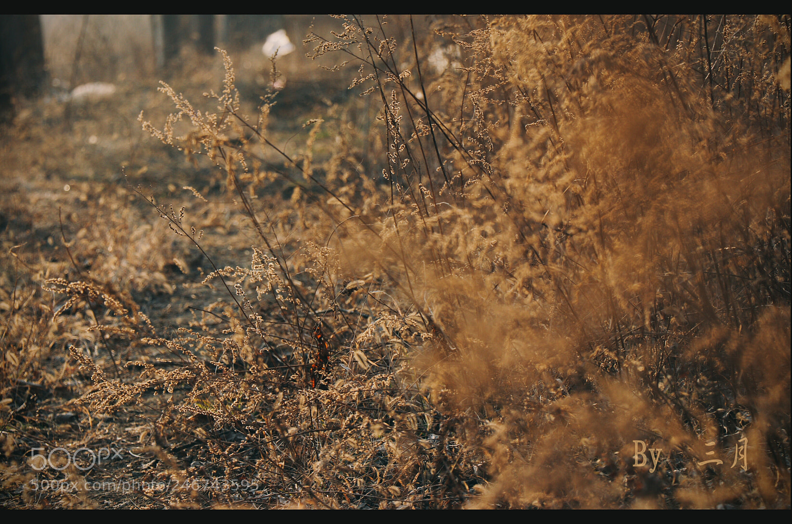 Canon EOS 77D (EOS 9000D / EOS 770D) sample photo. Untitled photography