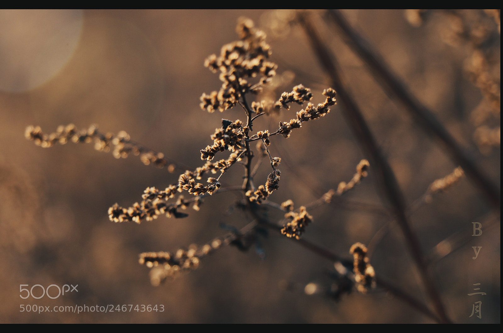 Canon EOS 77D (EOS 9000D / EOS 770D) sample photo. Untitled photography
