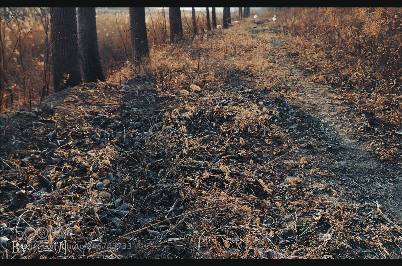Canon EOS 77D (EOS 9000D / EOS 770D) sample photo. Untitled photography