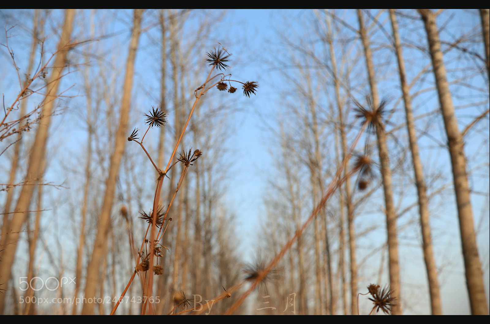 Canon EOS 77D (EOS 9000D / EOS 770D) sample photo. Untitled photography
