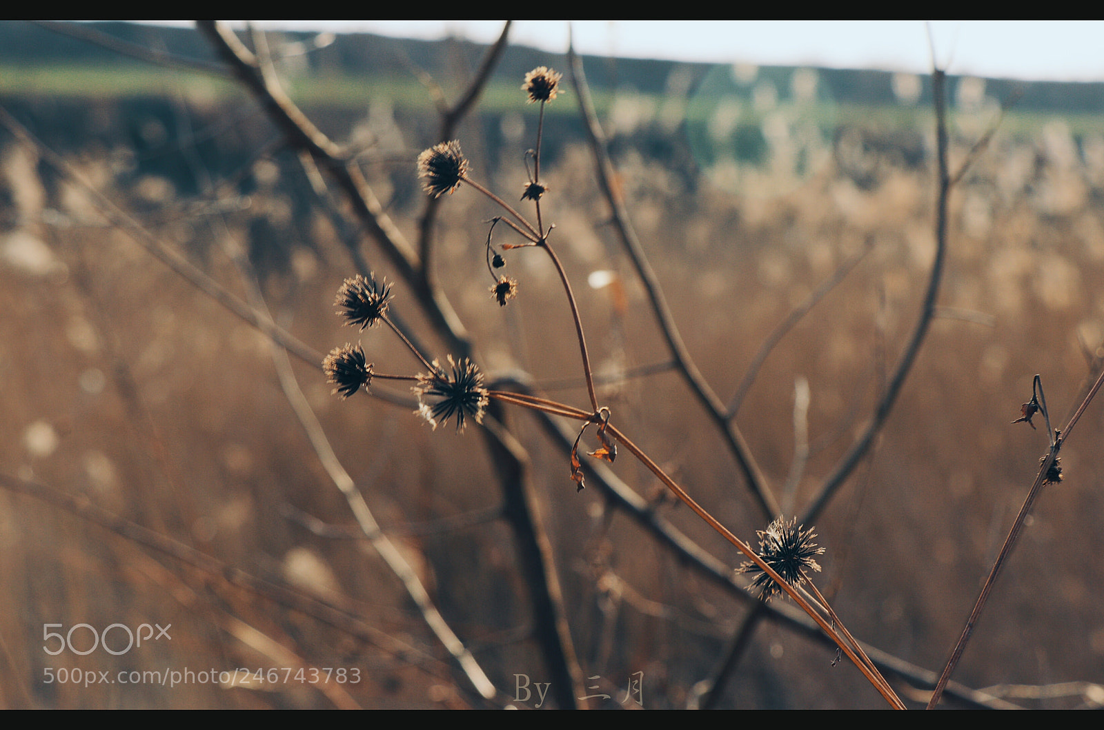 Canon EOS 77D (EOS 9000D / EOS 770D) sample photo. Untitled photography