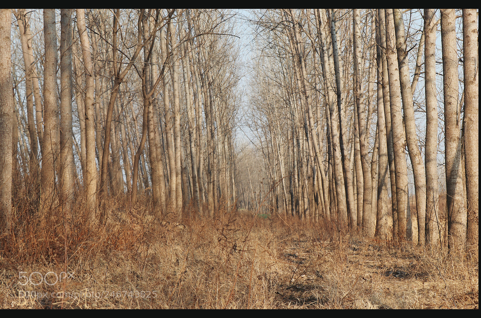 Canon EOS 77D (EOS 9000D / EOS 770D) sample photo. Untitled photography