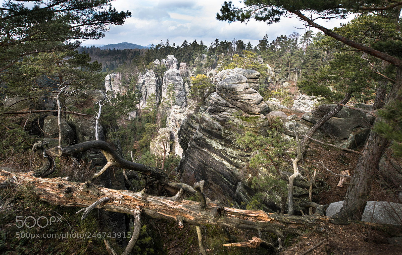 Nikon D810 sample photo. Prachovskie skaly photography