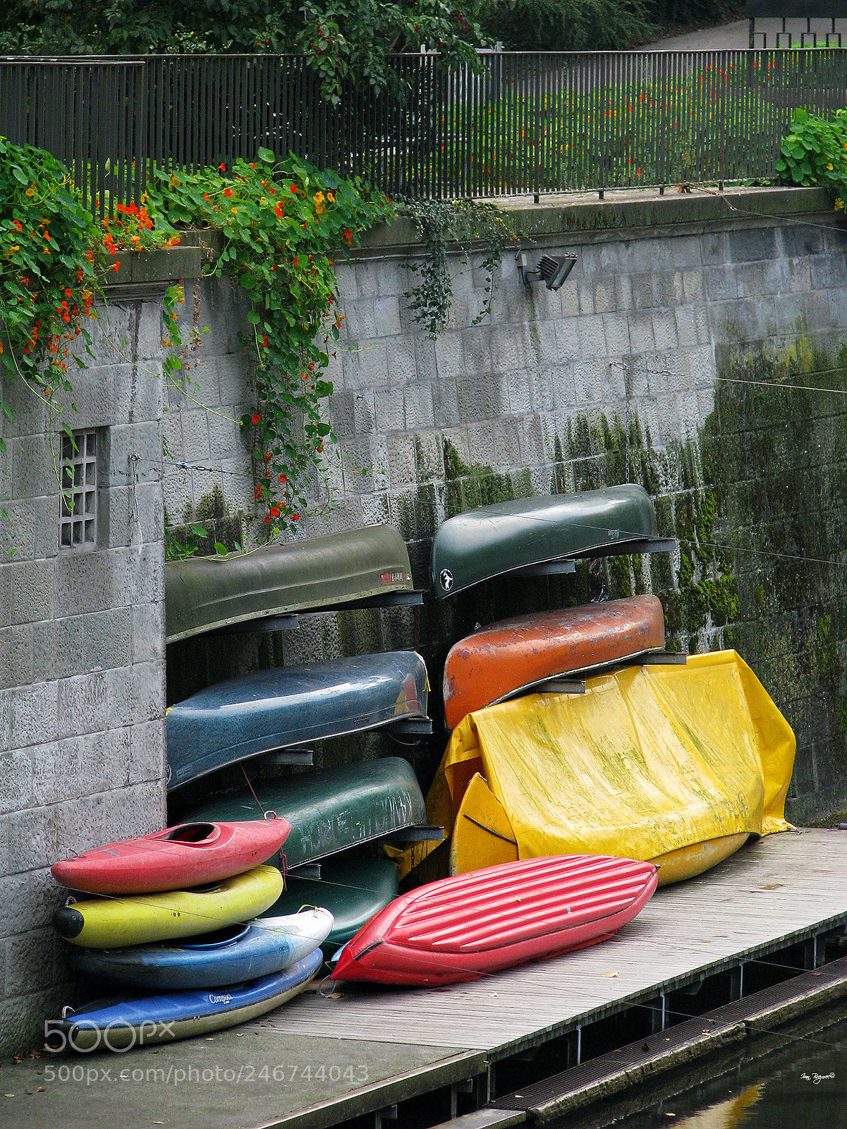 Canon POWERSHOT S5 IS sample photo. Colors photography
