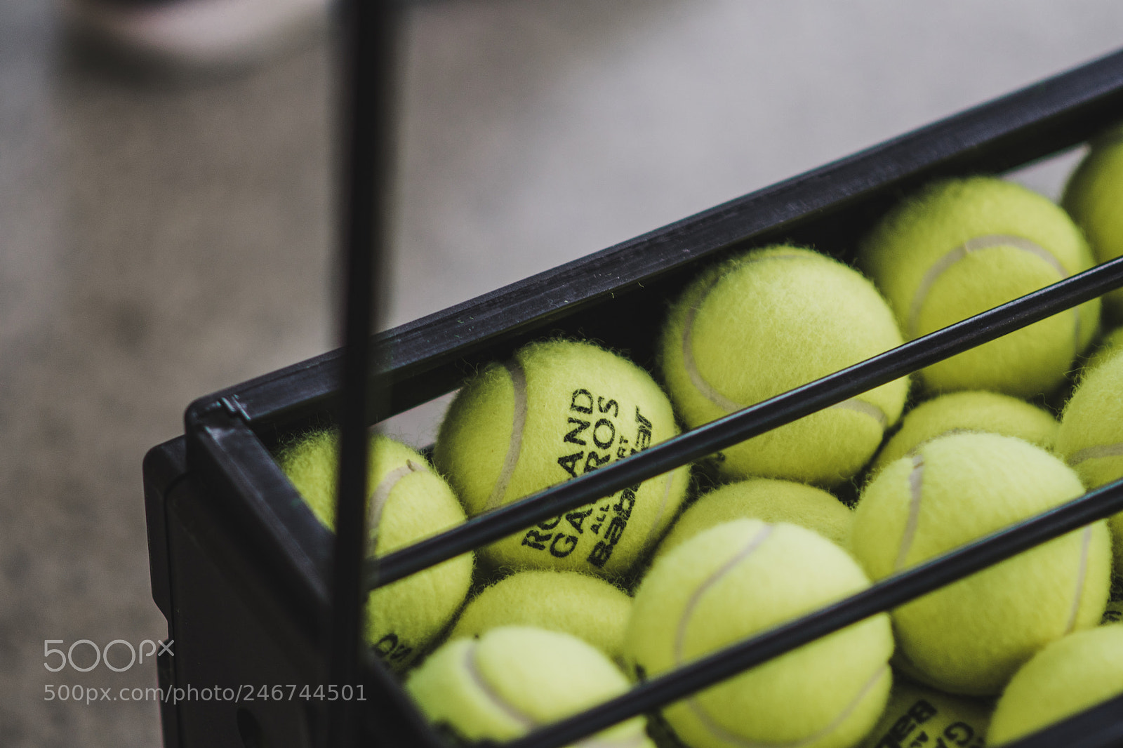 Nikon D7500 sample photo. Untitled photography