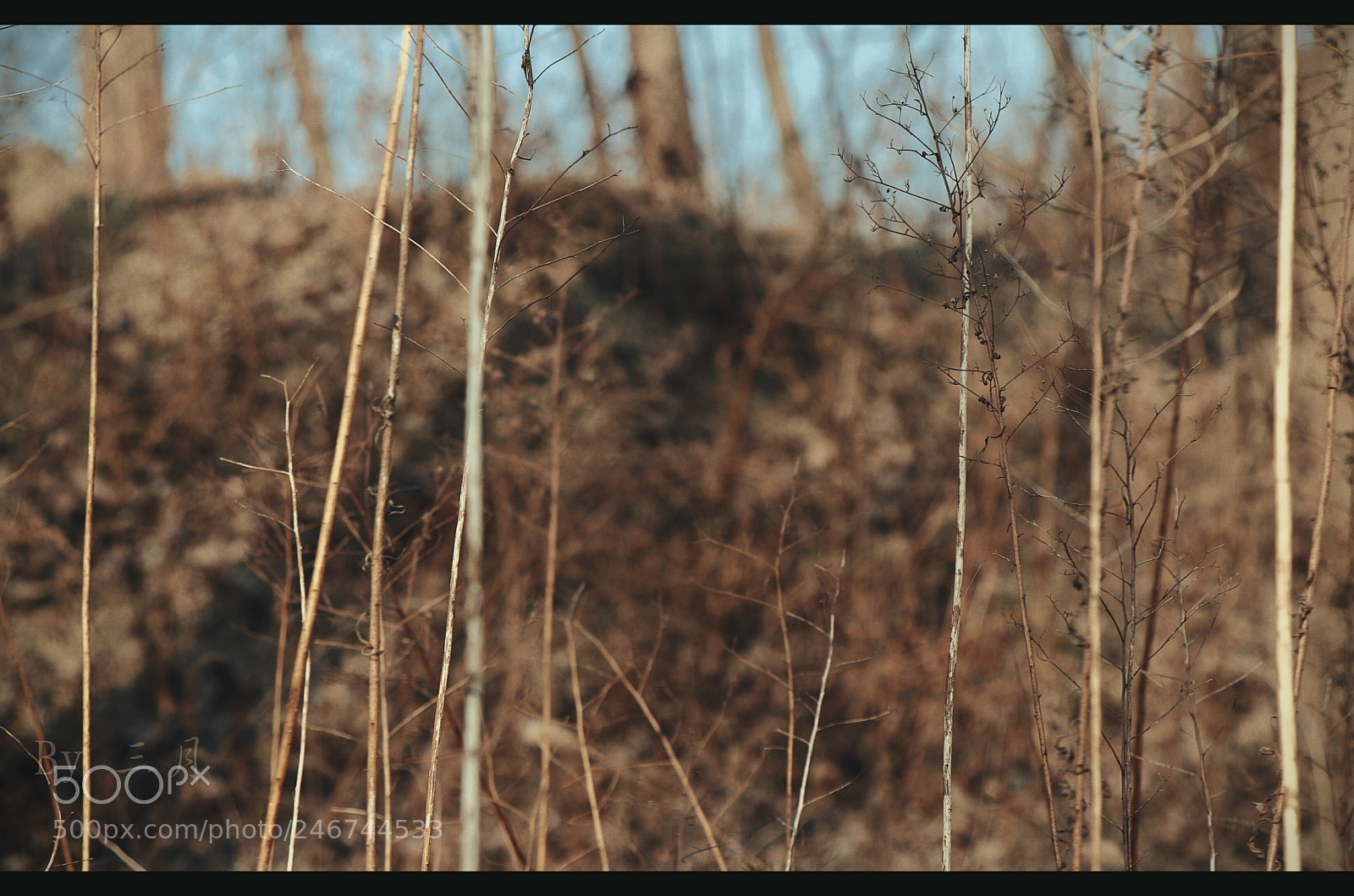Canon EOS 77D (EOS 9000D / EOS 770D) sample photo. Untitled photography