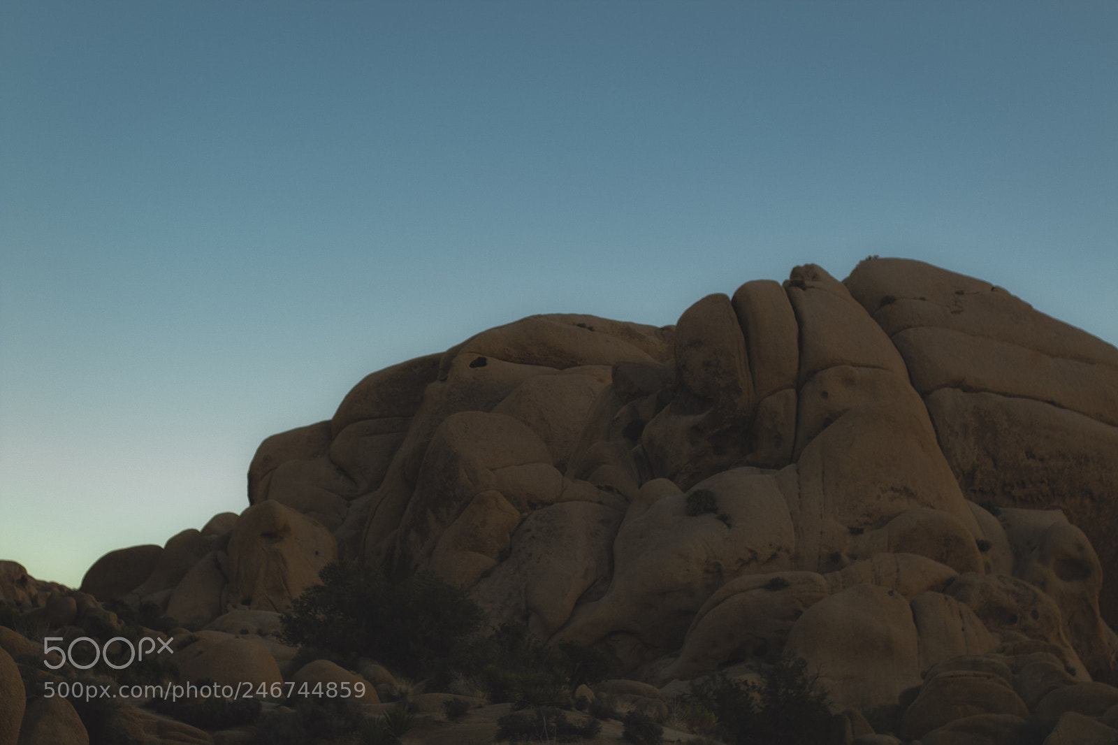 Canon EOS 1300D (EOS Rebel T6 / EOS Kiss X80) sample photo. Joshua tree national park photography