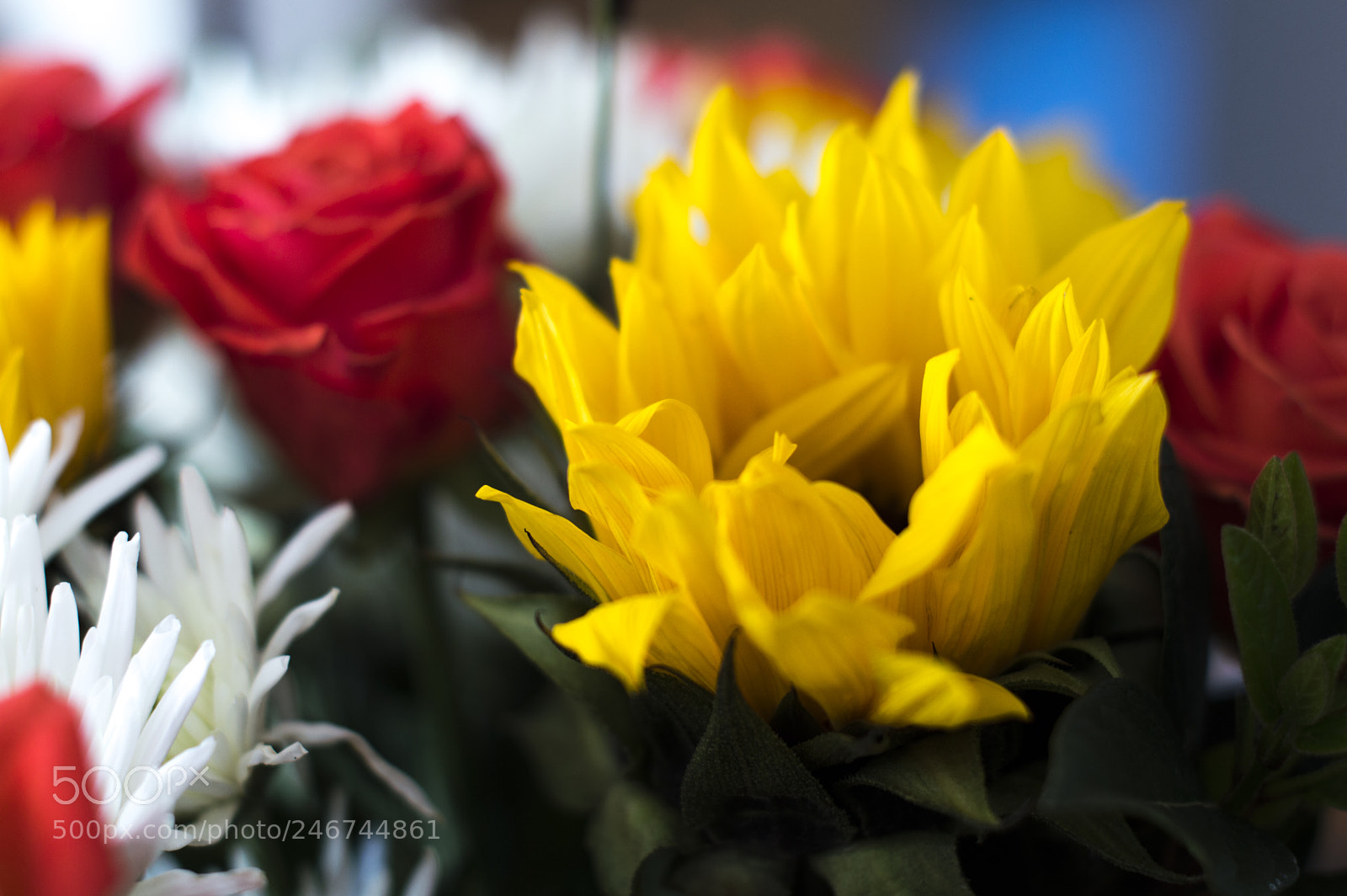 Nikon D3200 sample photo. Flower arrangment photography