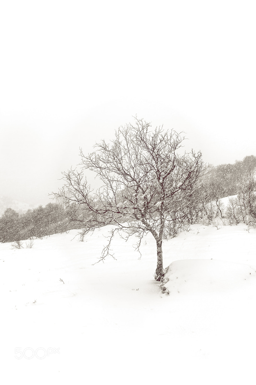 Canon EOS 7D sample photo. Blizzard sø photography