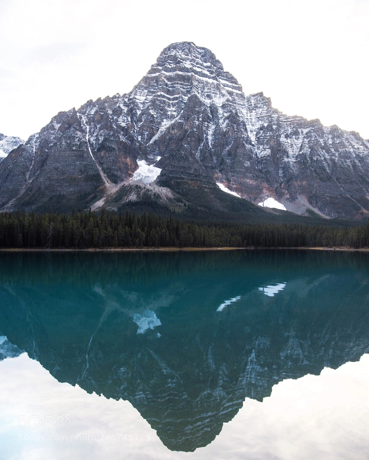 Nikon D810 sample photo. Mount chephren. waterfowl lakes photography